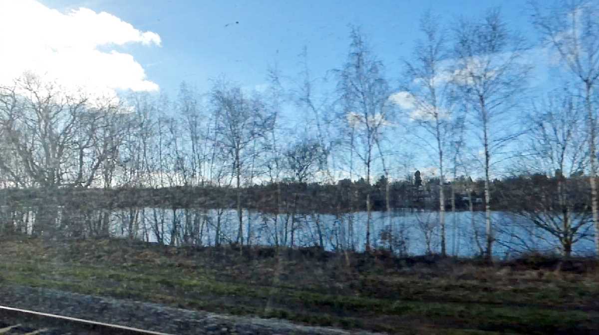 Your Place Your Space